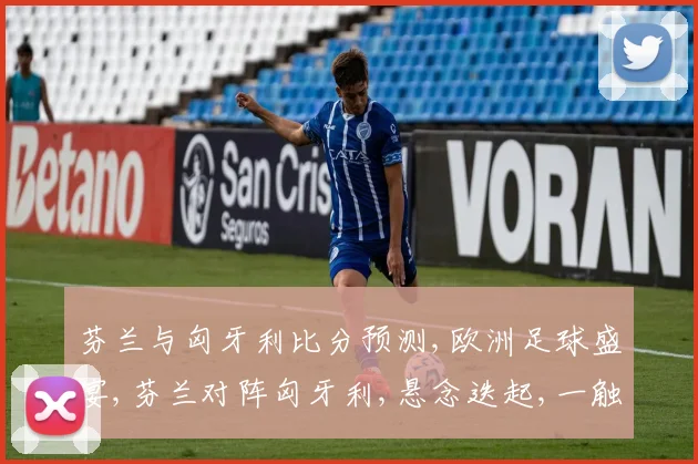 芬兰与匈牙利比分预测,欧洲足球盛宴,芬兰对阵匈牙利,悬念迭起,一触即发