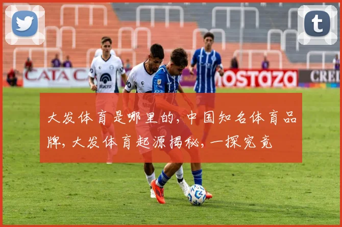 大发体育是哪里的,中国知名体育品牌,大发体育起源揭秘,一探究竟