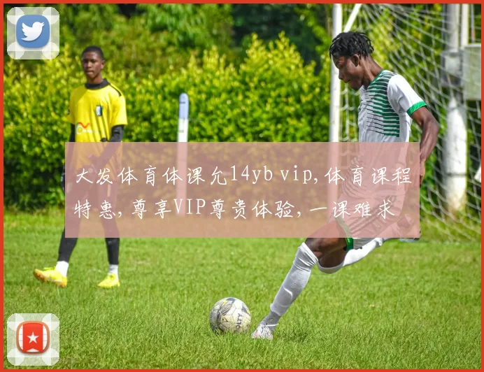 大发体育体课允14yb vip,体育课程特惠,尊享VIP尊贵体验,一课难求