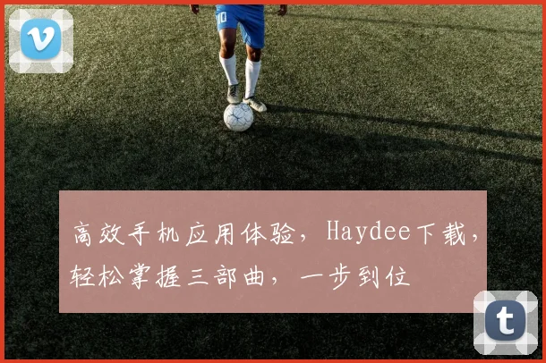 高效手机应用体验，Haydee下载，轻松掌握三部曲，一步到位
