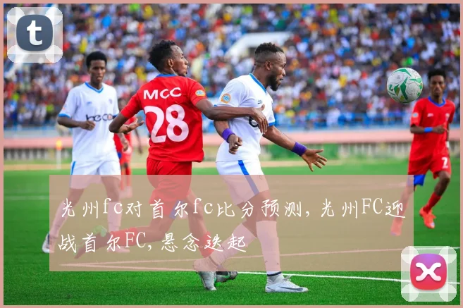 光州fc对首尔fc比分预测,光州FC迎战首尔FC,悬念迭起